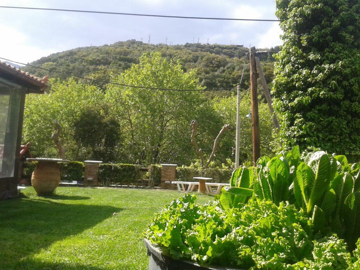 Kalogirou Stone House Apartment Limnionas  Luaran gambar